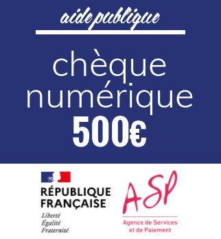 Chèque numérique, aide publique