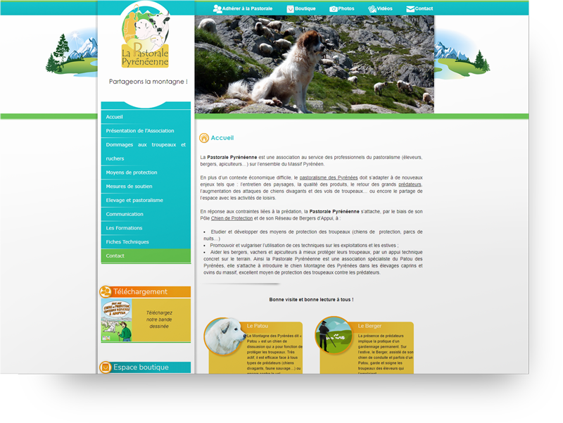 creation site association pro